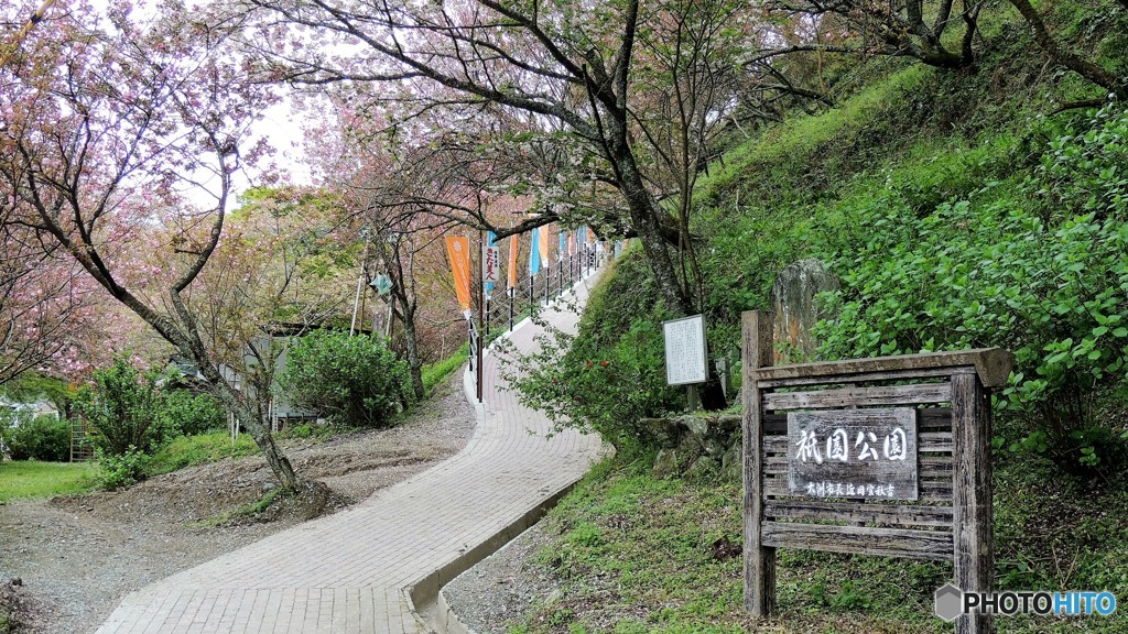 DSCN0656