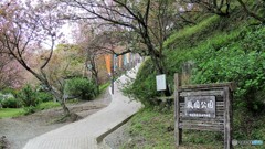 DSCN0656