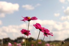 IMG_7475