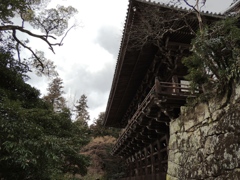 DSCN9104