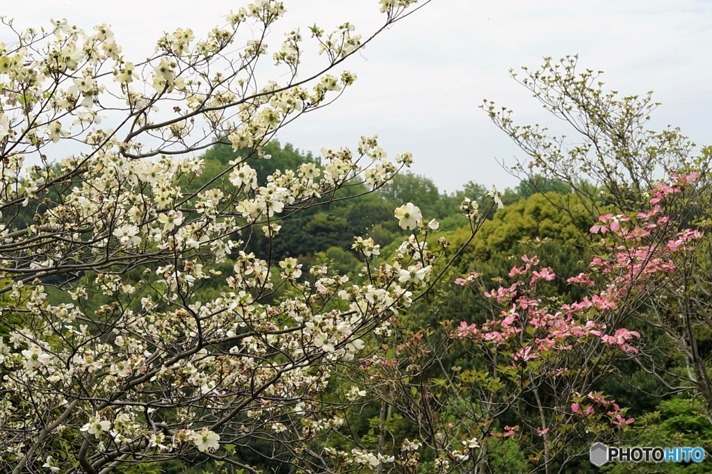 DSC04566