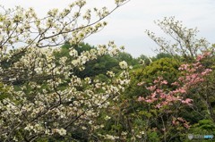 DSC04566