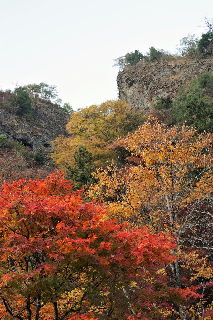 DSC05569