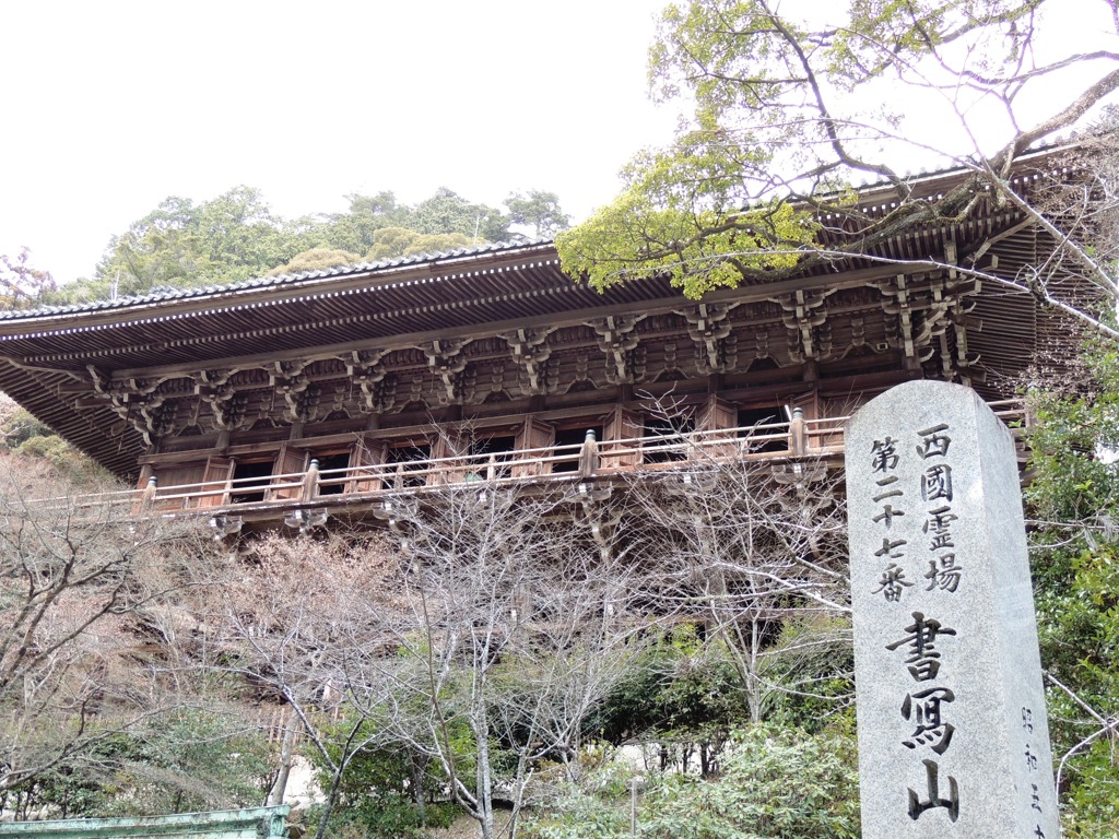 DSCN9074