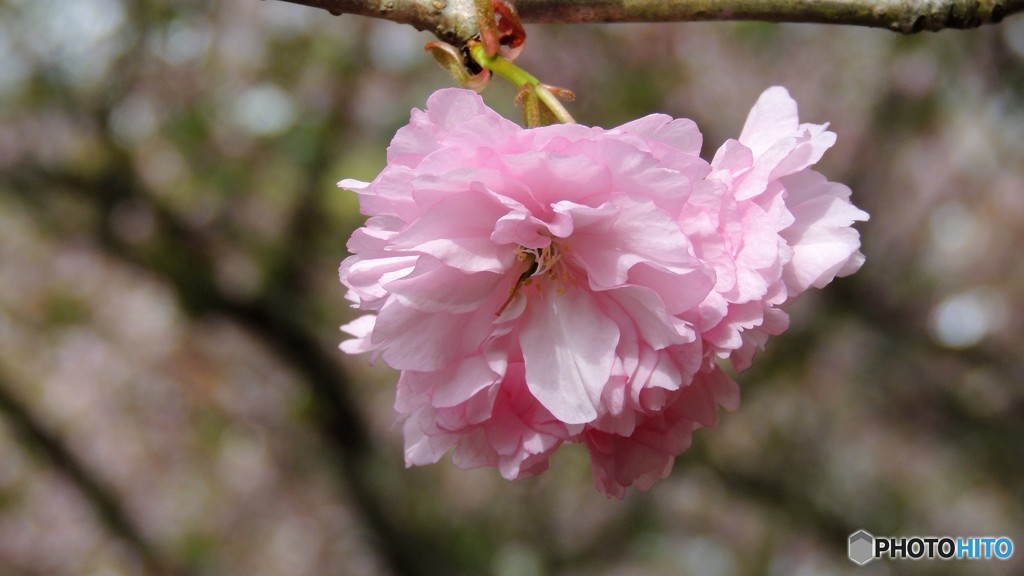 DSCN0687
