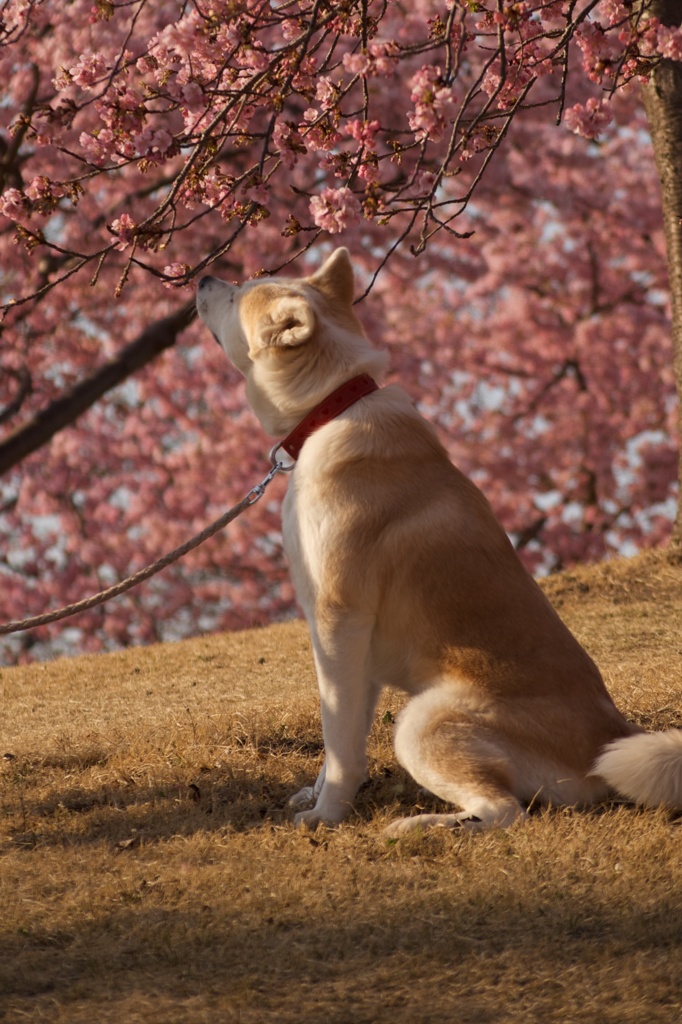 おいしいの？