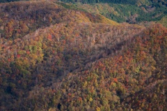 色とりどりに染まる山々