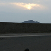 夕日を背にすることでエサがもらえると確信したフンボルトくんは、