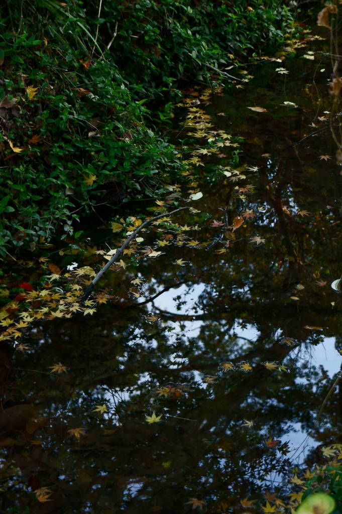こういうのは写真で見ると、