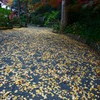 何枚ぐらいあるんでしょうか
