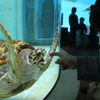 012_IMG_0512