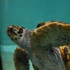 010_IMG_0483