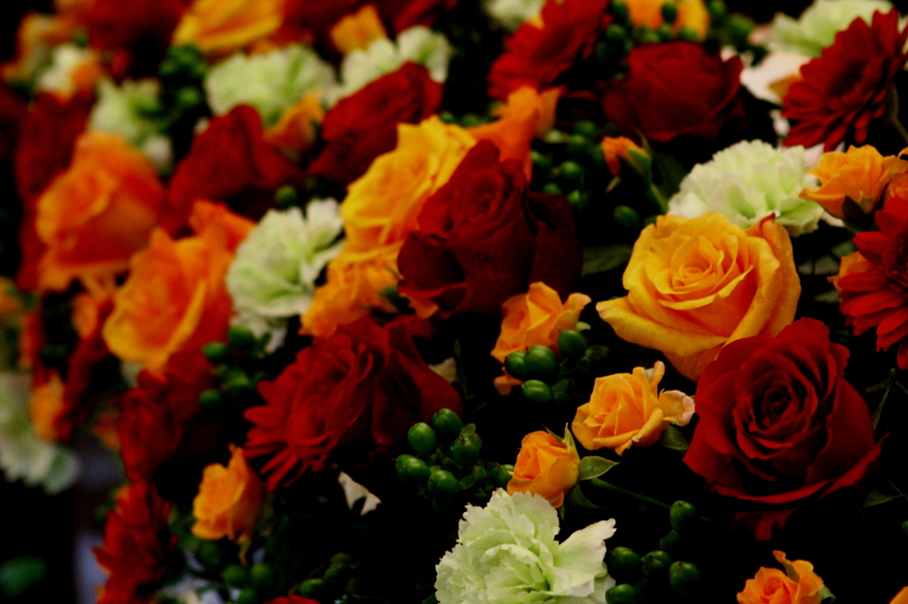 Ｆｒｏｗｅｒ
