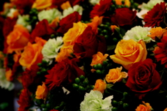 Ｆｒｏｗｅｒ