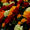 Ｆｒｏｗｅｒ