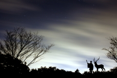 夜空