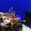 027_IMG_0759