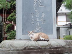 DSCF0926
