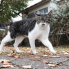 DSCF0096