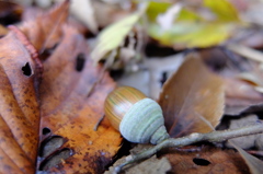DSCF0086
