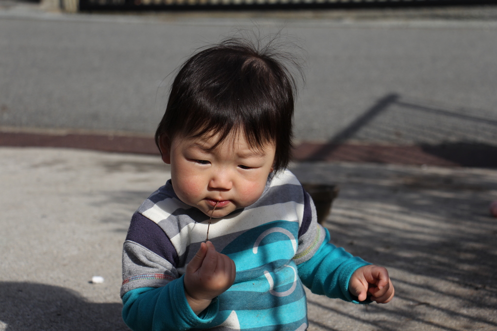 とりあえず食べる（笑）