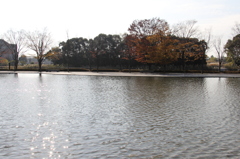 佐川美術館２
