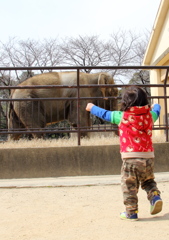 ぞうさーん