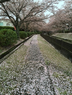 花の後