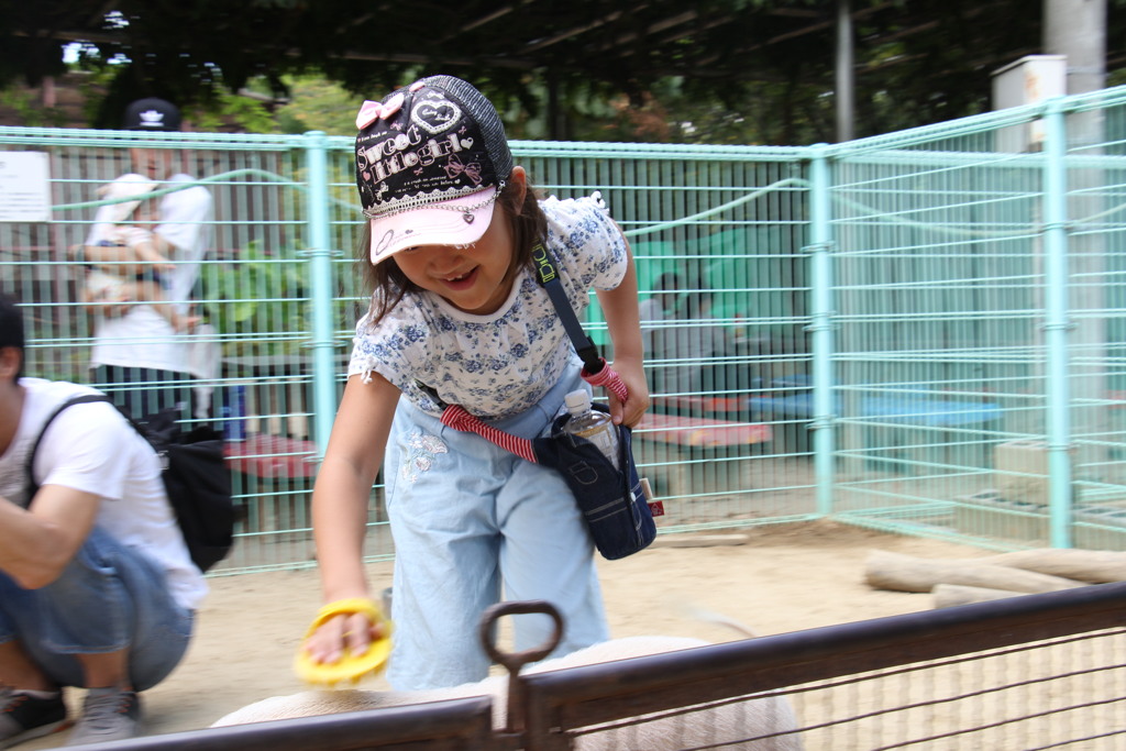 子豚と