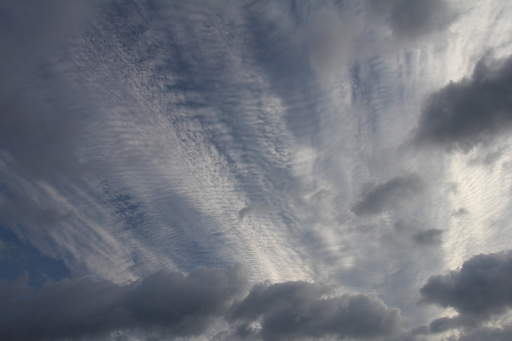 ここねの見た空2
