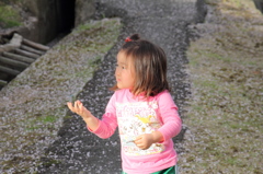花びらを受けようと・・・