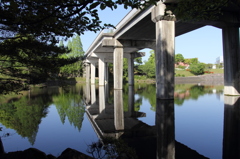 水面に写って綺麗でしたので