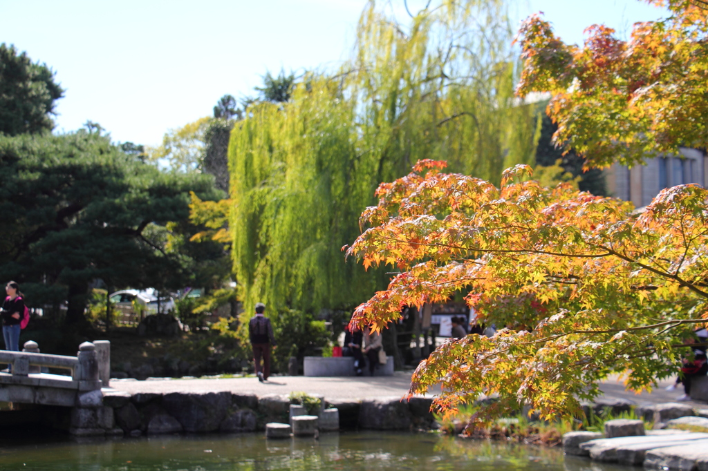 円山公園２