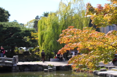 円山公園２