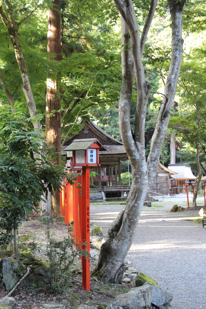 宇佐宮