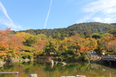 円山公園３