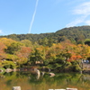 円山公園３