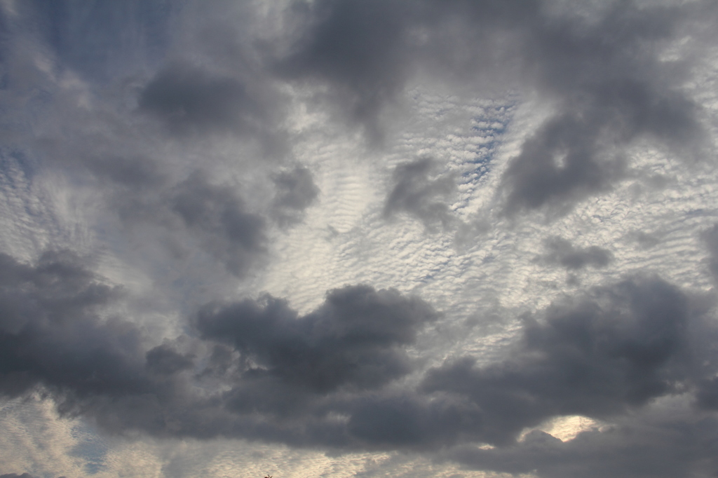 ここねの見た空1