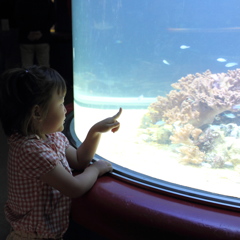 水族館