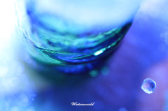 Water world 