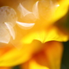 Dance of Light