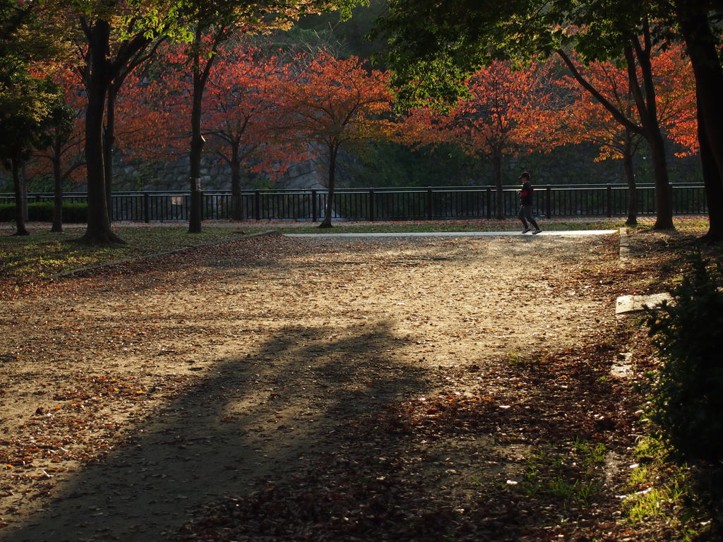 紅葉