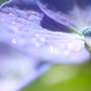 雨粒のささやき