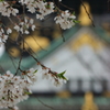 大阪城の気配