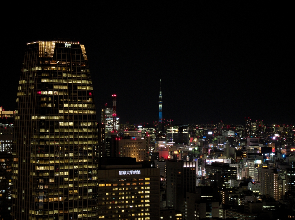 東京タワーから見るスカイツリー