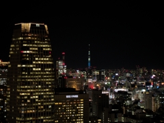 東京タワーから見るスカイツリー