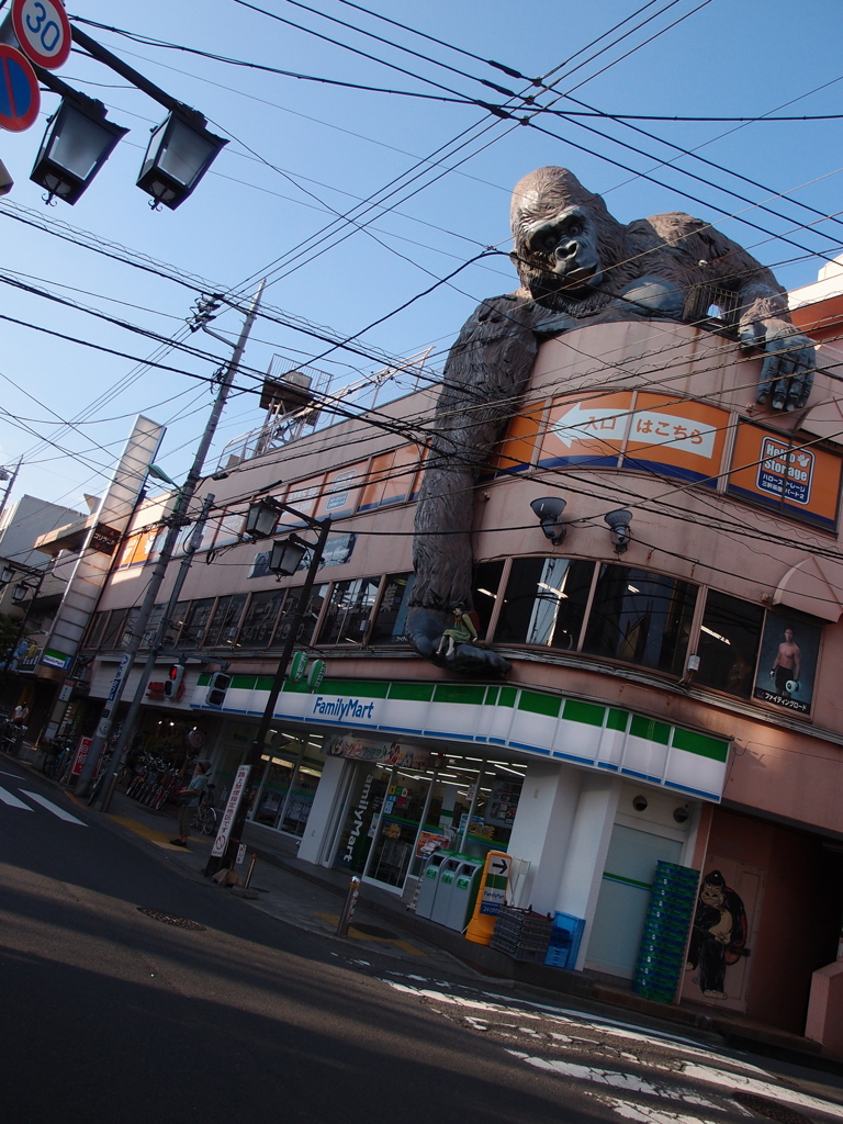 ゴリラ襲来