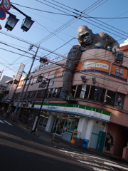 ゴリラ襲来