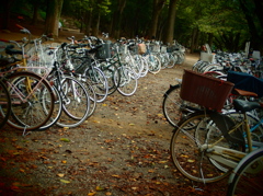 チャリ道