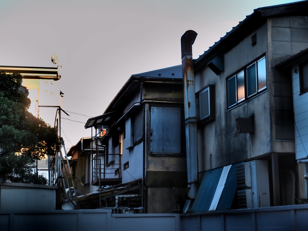 近所の風景